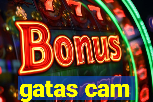 gatas cam